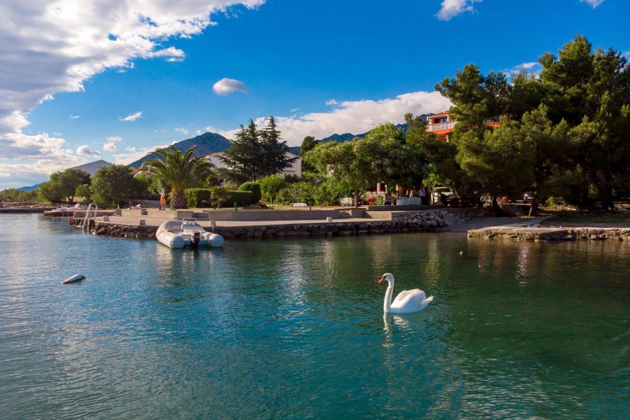 Pansion Kiko Hotell Starigrad Paklenica Exteriör bild